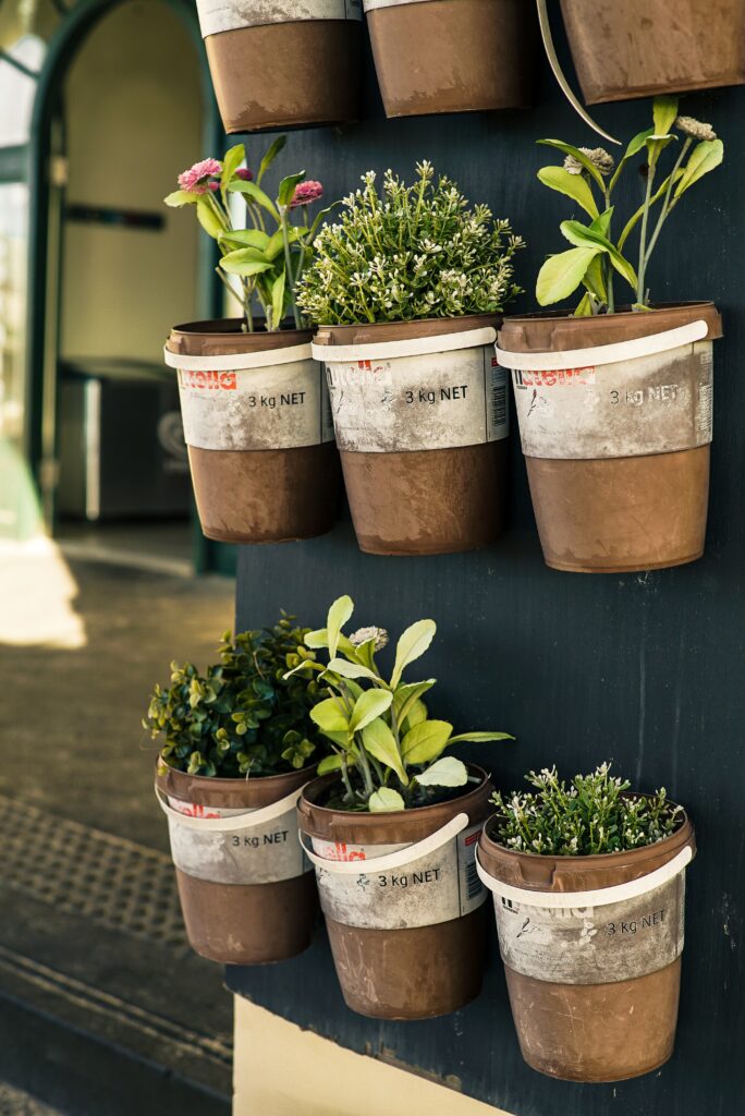 Buckets hanging from a wall, serving as pots for herbs and plants - creative vertical gardening with practical and aesthetic appeal. Late Spring/Early Summer Planting!