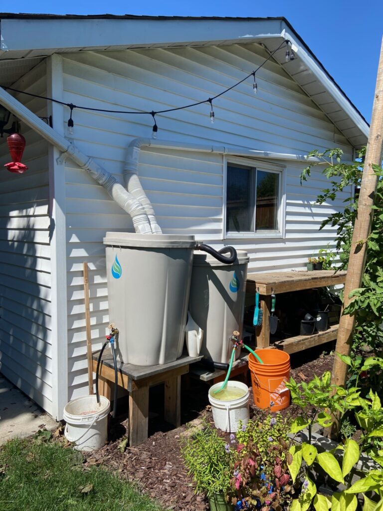 Rainwater harvesting setup: Eavestroughs channeling water into water butt's, a sustainable source for garden hydration.