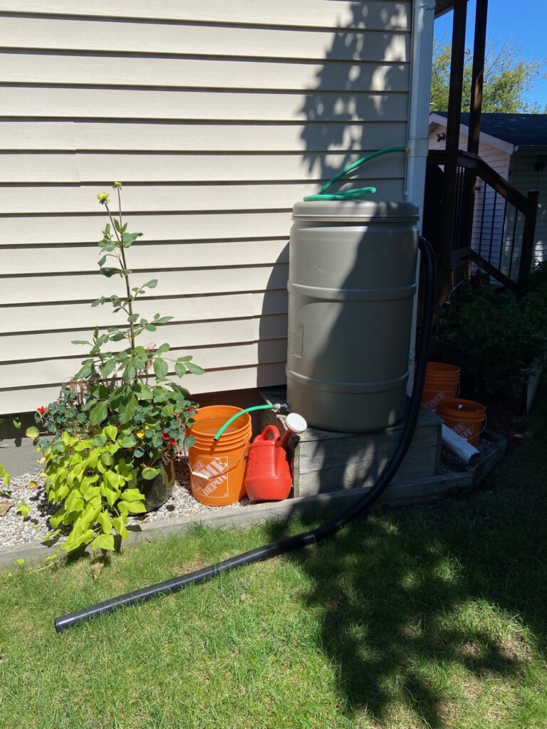 Smart water management: Connected to the eavestrough, this water butt efficiently collects rainwater for garden use.