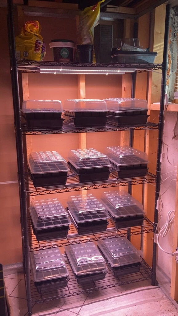 Vertical gardening setup: A 5-level wire rack system with 12 seed trays, poised for successful vegetable cultivation.