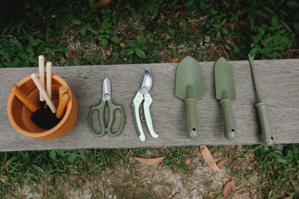 Gardening tools arranged neatly on a bench: trowels, snips, shovels, weed pullers.